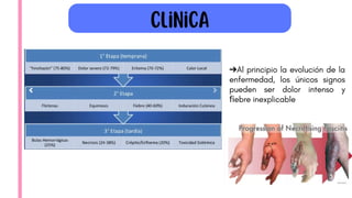 Clinica
➔Al principio la evolución de la
enfermedad, los únicos signos
pueden ser dolor intenso y
ﬁebre inexplicable
 