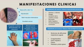 Rash macular eritematoso
Exudado seroso
 