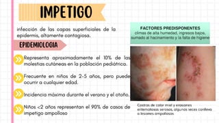 Representa aproximadamente el 10% de las
molestias cutáneas en la población pediátrica.
Frecuente en niños de 2-5 años, pero puede
ocurrir a cualquier edad.
Incidencia máxima durante el verano y el otoño.
Niños <2 años representan el 90% de casos de
impetigo ampolloso
ImpetIGO
infección de las capas superficiales de la
epidermis, altamente contagiosa.
EPIDEMIOLOGIA
 