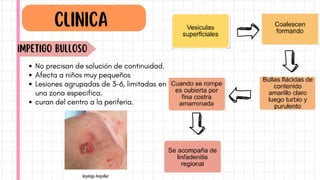 No precisan de solución de continuidad.
Afecta a niños muy pequeños
Lesiones agrupadas de 3-6, limitadas en
una zona especifica.
curan del centro a la periferia.
CLINICA
iMPETIGO BULLOSO
 