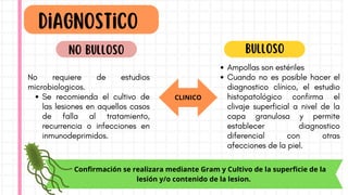 CLINICO
Confirmación se realizara mediante Gram y Cultivo de la superficie de la
lesión y/o contenido de la lesion.
No requiere de estudios
microbiologicos.
Se recomienda el cultivo de
las lesiones en aquellos casos
de falla al tratamiento,
recurrencia o infecciones en
inmunodeprimidos.
Diagnostico
No bulloso bulloso
Ampollas son estériles
Cuando no es posible hacer el
diagnostico clínico, el estudio
histopatológico confirma el
clivaje superficial a nivel de la
capa granulosa y permite
establecer diagnostico
diferencial con otras
afecciones de la piel.
 