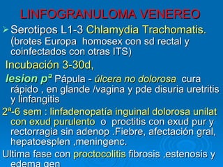 LINFOGRANULOMA VENEREO Serotipos L1-3  Chlamydia Trachomatis.  ( brotes Europa  homosex con sd rectal y  coinfectados con otras ITS) Incubación 3-30d, lesion pª   Pápula -  úlcera no dolorosa   cura  rápido , en glande /vagina y pde disuria uretritis y linfangitis 2ª-6 sem : linfadenopatía inguinal dolorosa unilat con exud purulento   o  proctitis con exud pur y rectorragia sin adenop .Fiebre, afectación gral, hepatoesplen ,meningenc. Ultima fase con  proctocolitis  fibrosis ,estenosis y edema gen 