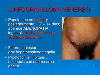 LINFOGRANULOMA VENEREO. Pápula que se  ulcera  y posteriormente  (7 – 14 dias) aparece ADENOPATIA inguinal,  UNILATERAL con exudado purulento Fiebre, malestar gral.hepatoesplenomegalia… Proctocolitis , fibrosis , estenosis con edema area genital 