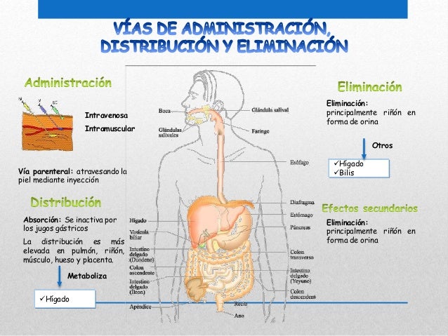 Infecciones de transmision sexual final Infecciones de transmision sexual final
