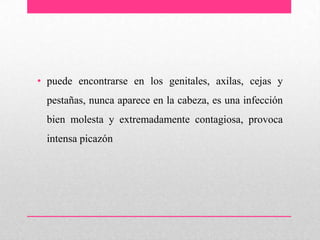 • puede encontrarse en los genitales, axilas, cejas y
pestañas, nunca aparece en la cabeza, es una infección
bien molesta y extremadamente contagiosa, provoca
intensa picazón
 