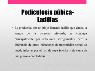 Pediculosis púbica-
Ladillas
• Es producida por un piojo llamado ladilla que chupa la
sangre de la persona infectada, se contagia
principalmente por relaciones sexogenitales, pero a
diferencia de otras infecciones de transmisión sexual se
puede infectar por el uso de ropa interior y de cama de
una persona con ladillas
 