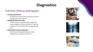 Diagnostico
Criterios clínicos principales:
Laringoscopia directa:
Visualización de secreciones purulentas y espesas
que obstruyen la luz traqueal.
Radiografía lateral de cuello:
Puede mostrar un estrechamiento irregular del
espacio subglótico, diferenciándose del "signo del
campanario" característico de la laringotraqueítis
viral. ​
Cultivo de secreciones traqueales:
Identificación del agente etiológico, siendo
Staphylococcus aureus el más común. ​
 