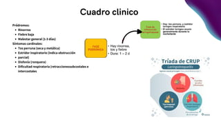 Cuadro clinico
Pródromos:
Rinorrea
Fiebre baja
Malestar general (1-3 días)
Síntomas cardinales:
Tos perruna (seca y metálica)
Estridor inspiratorio (indica obstrucción
parcial)
Disfonía (ronquera)
Dificultad respiratoria (retraccionessubcostales e
intercostales
 