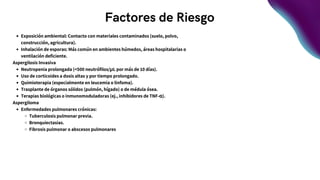 Factores de Riesgo
Exposición ambiental: Contacto con materiales contaminados (suelo, polvo,
construcción, agricultura).
Inhalación de esporas: Más común en ambientes húmedos, áreas hospitalarias o
ventilación deficiente.
Aspergilosis Invasiva
Neutropenia prolongada (<500 neutrófilos/µL por más de 10 días).
Uso de corticoides a dosis altas y por tiempo prolongado.
Quimioterapia (especialmente en leucemia o linfoma).
Trasplante de órganos sólidos (pulmón, hígado) o de médula ósea.
Terapias biológicas o inmunomoduladoras (ej., inhibidores de TNF-α).
Aspergiloma
Enfermedades pulmonares crónicas:
Tuberculosis pulmonar previa.
Bronquiectasias.
Fibrosis pulmonar o abscesos pulmonares
 