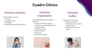 Cuadro Clínico
Sintomas
tardios
(Resolución, 2-4 semanas)
Persistencia de la tos →
Puede durar hasta 4 semanas
en algunos casos.
Hipersecreción bronquial
residual
Síntomas iniciales
(Fase Prodrómica, 1-3 días)
Rinorrea
Congestión nasal
Odinofagia
Malestar general, astenia y adinamia
Sintomas
respiratorios
Síntomas Respiratorios (Fase Aguda, 1-2
semanas)
Tos seca inicialmente, luego tos
productiva con expectoración mucosa
o mucopurulenta.
Sibilancias y roncus
Opresión torácica
Disnea leve
Fiebre baja o febrícula
 