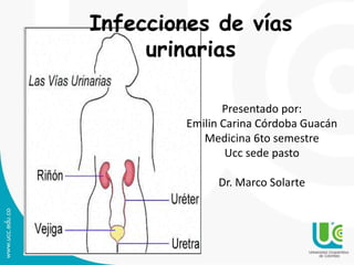 Infecciones de vías
urinarias
Presentado por:
Emilin Carina Córdoba Guacán
Medicina 6to semestre
Ucc sede pasto
Dr. Marco Solarte
 