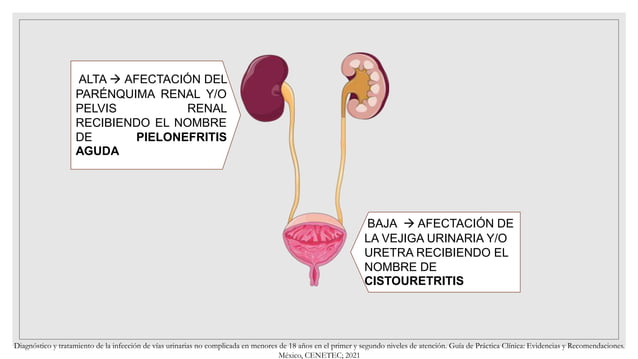 INFECCIONES DE VÍAS URINARIAS GPC.pptx