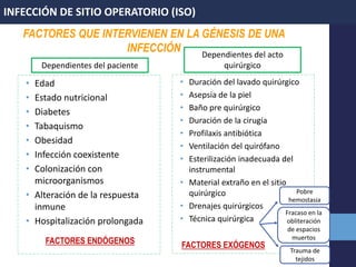 • Edad
• Estado nutricional
• Diabetes
• Tabaquismo
• Obesidad
• Infección coexistente
• Colonización con
microorganismos
• Alteración de la respuesta
inmune
• Hospitalización prolongada
• Duración del lavado quirúrgico
• Asepsia de la piel
• Baño pre quirúrgico
• Duración de la cirugía
• Profilaxis antibiótica
• Ventilación del quirófano
• Esterilización inadecuada del
instrumental
• Material extraño en el sitio
quirúrgico
• Drenajes quirúrgicos
• Técnica quirúrgica
Dependientes del paciente
Dependientes del acto
quirúrgico
Pobre
hemostasia
Trauma de
tejidos
Fracaso en la
obliteración
de espacios
muertos
INFECCIÓN DE SITIO OPERATORIO (ISO)
FACTORES ENDÓGENOS
FACTORES QUE INTERVIENEN EN LA GÉNESIS DE UNA
INFECCIÓN
FACTORES EXÓGENOS
 