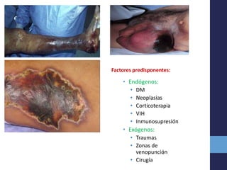 • Endógenos:
• DM
• Neoplasias
• Corticoterapia
• VIH
• Inmunosupresión
• Exógenos:
• Traumas
• Zonas de
venopunción
• Cirugía
Factores predisponentes:
 