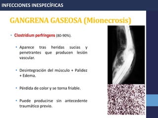 GANGRENA GASEOSA (Mionecrosis)
• Clostridium perfringens (80-90%).
• Aparece tras heridas sucias y
penetrantes que producen lesión
vascular.
• Desintegración del músculo + Palidez
+ Edema.
• Pérdida de color y se torna friable.
• Puede producirse sin antecedente
traumático previo.
INFECCIONES INESPECÍFICAS
 