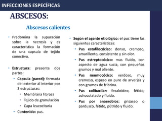 ABSCESOS:
Abscesoscalientes
• Predomina la supuración
sobre la necrosis y es
característica la formación
de una capsula de tejido
conectivo.
• Estructura: presenta dos
partes:
• Capsula (pared): formada
del exterior al interior por
3 estructuras:
• Membrana fibrosa
• Tejido de granulación
• Capa leucocitaria
• Contenido: pus.
• Según el agente etiológico: el pus tiene las
siguientes características:
• Pus estafilocócico: denso, cremoso,
amarillento, consistente y sin olor.
• Pus estreptocócico: mas fluido, con
aspecto de agua sucia, con pequeños
grumos y mal oliente.
• Pus neumocócico: verdoso, muy
cremoso, espeso en pure de arverjas y
con grumos de fribrina.
• Pus colibacilar: fecaloideo, fétido,
achocolatado y fluido.
• Pus por anaerobios: grisaseo o
pardusco, fétido, pútrido y fluido.
INFECCIONES ESPECÍFICAS
 