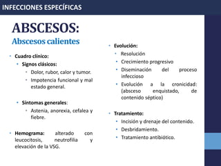 ABSCESOS:
Abscesoscalientes
• Cuadro clínico:
• Signos clásicos:
• Dolor, rubor, calor y tumor.
• Impotencia funcional y mal
estado general.
• Síntomas generales:
• Astenia, anorexia, cefalea y
fiebre.
• Hemograma: alterado con
leucocitosis, neutrofilia y
elevación de la VSG.
• Evolución:
• Resolución
• Crecimiento progresivo
• Diseminación del proceso
infeccioso
• Evolución a la cronicidad:
(absceso enquistado, de
contenido séptico)
• Tratamiento:
• Incisión y drenaje del contenido.
• Desbridamiento.
• Tratamiento antibiótico.
INFECCIONES ESPECÍFICAS
 