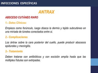 ANTRAX
ABSCESO CUTÁNEO RARO
1.- Datos Clínicos:
Empieza como forúnculo, luego diseca la dermis y tejido subcutáneo en
una miríada de túneles conectados entre si.
2.- Complicaciones
Los ántrax sobre la cara posterior del cuello, puede producir abscesos
epidurales y meningitis.
3.- Tratamiento
Deben tratarse con antibióticos y con escisión amplia hasta que las
múltiples fístulas son extirpadas.
INFECCIONES ESPECÍFICAS
 