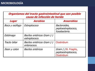 Organismos del tracto gastrointestinal que son posible
causa de infección de herida
Lugar Aerobios Anaerobios
Boca y esófago Estreptococo Bacteroides,
peptoestreptococo,
fusobacteria.
Estómago Bacilos entéricos Gram (-)
estreptococo.
Tracto biliar Bacilos entéricos Gram (-)
enterococo.
Clostridium
Ileon y colon Bacilos entéricos Gram (-) B. Fragilis,
peptoestreptococo,
Clostridium
MICROBIOLOGÍA
 