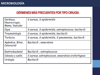 GÉRMENESMÁSFRECUENTESPORTIPOCIRUGÍA
Cardiaca,
Neurocirugia,
Mama, Vascular
S aureus, S epidermidis
Ojos S aureus, S epidermidis, estreptococos, bacilos G-
Traumatología S aureus, S epidermidis, bacilos G-
Torácica S aureus, S epidermidis, S pneumoniae, bacilos G-
Apéndice, Biliar,
Colorectal
Bacilos G-, anaerobios
Gastroduodenal Bacilos G-, estreptococos
Cabeza y cuello S aureus, estreptococos, anaerobios orofaríngeos
Urología Bacilos G-
MICROBIOLOGÍA
 