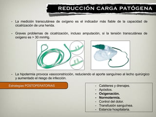 Estrategias POSTOPERATORIAS
!
REDUCCIÓN CARGA PATÓGENA
- Catéteres y drenajes.
- Apósitos.
- Oxigenación.
- Normotermia.
- Control del dolor.
- Transfusión sanguínea.
- Estancia hospitalaria.
- La medición transcutánea de oxígeno es el indicador más fiable de la capacidad de
cicatrización de una herida.
!
- Graves problemas de cicatrización, incluso amputación, si la tensión transcutánea de
oxígeno es > 30 mmHg.
!
!
- La hipotermia provoca vasoconstricción, reduciendo el aporte sanguíneo al lecho quirúrgico
y aumentado el riesgo de infección.
!
!
 