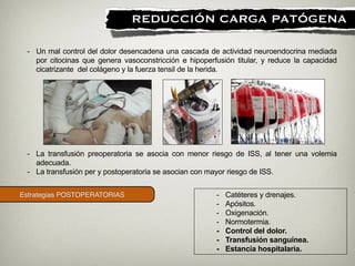 Estrategias POSTOPERATORIAS
!
REDUCCIÓN CARGA PATÓGENA
- Catéteres y drenajes.
- Apósitos.
- Oxigenación.
- Normotermia.
- Control del dolor.
- Transfusión sanguínea.
- Estancia hospitalaria.
- Un mal control del dolor desencadena una cascada de actividad neuroendocrina mediada
por citocinas que genera vasoconstricción e hipoperfusión titular, y reduce la capacidad
cicatrizante del colágeno y la fuerza tensil de la herida.
- La transfusión preoperatoria se asocia con menor riesgo de ISS, al tener una volemia
adecuada.
- La transfusión per y postoperatoria se asocian con mayor riesgo de ISS.
 