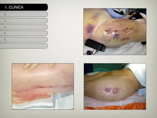 1. CLÍNICA
2.
3.
4.
5.
6.
 