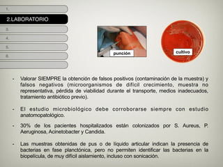 2.LABORATORIO
1.
3.
4.
5.
6.
punción cultivo
- Valorar SIEMPRE la obtención de falsos positivos (contaminación de la muestra) y
falsos negativos (microorganismos de difícil crecimiento, muestra no
representativa, pérdida de viabilidad durante el transporte, medios inadecuados,
tratamiento antibiótico previo).
!
- El estudio microbiológico debe corroborarse siempre con estudio
anatomopatológico.
- 30% de los pacientes hospitalizados están colonizados por S. Aureus, P.
Aeruginosa, Acinetobacter y Candida.
!
- Las muestras obtenidas de pus o de líquido articular indican la presencia de
bacterias en fase planctónica, pero no permiten identificar las bacterias en la
biopelícula, de muy difícil aislamiento, incluso con sonicación.
 