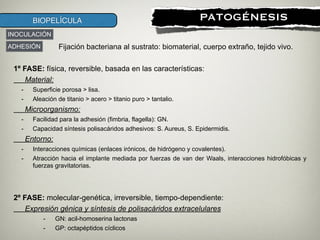 !
PATOGÉNESISBIOPELÍCULA
Fijación bacteriana al sustrato: biomaterial, cuerpo extraño, tejido vivo.
!
1º FASE: física, reversible, basada en las características:
Material:
- Superficie porosa > lisa.
- Aleación de titanio > acero > titanio puro > tantalio.
Microorganismo:
- Facilidad para la adhesión (fimbria, flagella): GN.
- Capacidad síntesis polisacáridos adhesivos: S. Aureus, S. Epidermidis.
Entorno:
- Interacciones químicas (enlaces irónicos, de hidrógeno y covalentes).
- Atracción hacia el implante mediada por fuerzas de van der Waals, interacciones hidrofóbicas y
fuerzas gravitatorias.
!
!
2º FASE: molecular-genética, irreversible, tiempo-dependiente:
Expresión génica y síntesis de polisacáridos extracelulares
- GN: acil-homoserina lactonas
- GP: octapéptidos cíclicos
ADHESIÓN
INOCULACIÓN
 