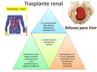 Trasplante renal 
TU, profilaxisTMP-SMX 
800mg- 
160mg/6m y 
cefalosporinas 
anatómicas como 
reflujo ureteral, 
estenosis de la 
unión 
ureterovesical o 
vejiga neurogénica. 
La tuberculosis y 
Micoplasma 
hominis 
por Bacterias: TU: 
E. Coli, Klebsiella, 
enterobact, Ps A, 
enterococos. 
Pulmones: 
Legionella 
Tempranas < 1mes 
 