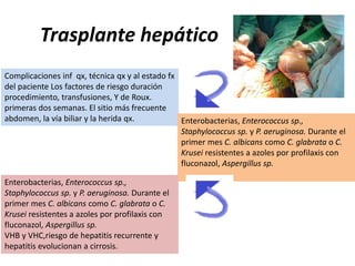 Trasplante hepático 
Complicaciones inf qx, técnica qx y al estado fx 
del paciente Los factores de riesgo duración 
procedimiento, transfusiones, Y de Roux. 
primeras dos semanas. El sitio más frecuente 
abdomen, la vía biliar y la herida qx. Enterobacterias, Enterococcus sp., 
Staphylococcus sp. y P. aeruginosa. Durante el 
primer mes C. albicans como C. glabrata o C. 
Krusei resistentes a azoles por profilaxis con 
fluconazol, Aspergillus sp. 
Enterobacterias, Enterococcus sp., 
Staphylococcus sp. y P. aeruginosa. Durante el 
primer mes C. albicans como C. glabrata o C. 
Krusei resistentes a azoles por profilaxis con 
fluconazol, Aspergillus sp. 
VHB y VHC,riesgo de hepatitis recurrente y 
hepatitis evolucionan a cirrosis. 
 