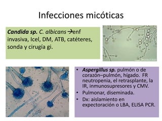Infecciones micóticas 
Candida sp. C. albicansenf 
invasiva, Icel, DM, ATB, catéteres, 
sonda y cirugía gi. 
• Aspergillus sp. pulmón o de 
corazón–pulmón, hígado. FR 
neutropenia, el retrasplante, la 
IR, inmunosupresores y CMV. 
• Pulmonar, diseminada. 
• Dx: aislamiento en 
expectoración o LBA, ELISA PCR. 
 