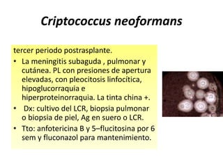 Criptococcus neoformans 
tercer periodo postrasplante. 
• La meningitis subaguda , pulmonar y 
cutánea. PL con presiones de apertura 
elevadas, con pleocitosis linfocítica, 
hipoglucorraquia e 
hiperproteinorraquia. La tinta china +. 
• Dx: cultivo del LCR, biopsia pulmonar 
o biopsia de piel, Ag en suero o LCR. 
• Tto: anfotericina B y 5–flucitosina por 6 
sem y fluconazol para mantenimiento. 
 