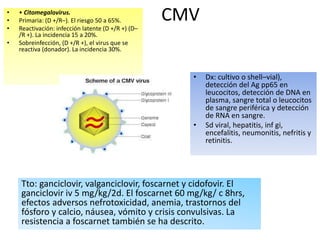 • • Citomegalovirus. CMV 
• Primaria: (D +/R–). El riesgo 50 a 65%. 
• Reactivación: infección latente (D +/R +) (D– 
/R +). La incidencia 15 a 20%. 
• Sobreinfección, (D +/R +), el virus que se 
reactiva (donador). La incidencia 30%. 
• Dx: cultivo o shell–vial), 
detección del Ag pp65 en 
leucocitos, detección de DNA en 
plasma, sangre total o leucocitos 
de sangre periférica y detección 
de RNA en sangre. 
• Sd viral, hepatitis, inf gi, 
encefalitis, neumonitis, nefritis y 
retinitis. 
Tto: ganciclovir, valganciclovir, foscarnet y cidofovir. El 
ganciclovir iv 5 mg/kg/2d. El foscarnet 60 mg/kg/ c 8hrs, 
efectos adversos nefrotoxicidad, anemia, trastornos del 
fósforo y calcio, náusea, vómito y crisis convulsivas. La 
resistencia a foscarnet también se ha descrito. 
 