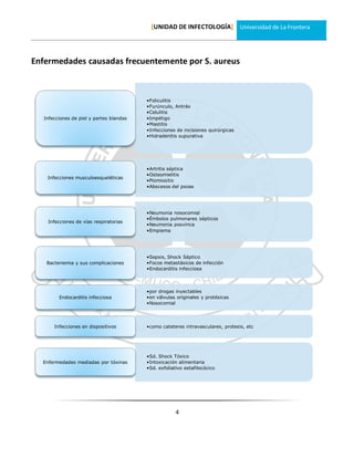 [UNIDAD DE INFECTOLOGÍA] Universidad de La Frontera




Enfermedades causadas frecuentemente por S. aureus



                                         •Foliculitis
                                         •Furúnculo, Antráx
                                         •Celulitis
  Infecciones de piel y partes blandas   •Impétigo
                                         •Mastitis
                                         •Infecciones de incisiones quirúrgicas
                                         •Hidradenitis supurativa




                                         •Artritis séptica
                                         •Osteomielitis
   Infecciones musculoesqueléticas
                                         •Piomiositis
                                         •Abscesos del psoas




                                         •Neumonia nosocomial
                                         •Émbolos pulmonares sépticos
    Infecciones de vías respiratorias
                                         •Neumonia posvírica
                                         •Empiema




                                         •Sepsis, Shock Séptico
   Bacteriemia y sus complicaciones      •Focos metastásicos de infección
                                         •Endocarditis infecciosa



                                         •por drogas inyectables
        Endocarditis infecciosa          •en válvulas originales y protésicas
                                         •Nosocomial




      Infecciones en dispositivos        •como cateteres intravasculares, protesis, etc




                                         •Sd. Shock Tóxico
  Enfermedades mediadas por tóxinas      •Intoxicación alimentaria
                                         •Sd. exfoliativo estafilocócico




                                                      4
 