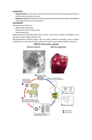 DIAGNOSTICO 
- Sospecha clínica: Prurito anal y nasal y alteraciones nerviosas. Caso índice y grupo familiar o 
institucional con síntomas similares 
- Diagnostico certeza: Identificación macroscópica de gusanos adultos (hembras). Identificación 
microscópica de huevos: test de Graham 
TRATAMIENTO 
Derivados benzimidazolicos: 
- Mebendazol y albenzadol 
- Pamoatos de pirivinio y de pirantel 
- Sales de piperazina 
Higiene personal (educación sobre ciclo evolutivo, uñas cortas, combatir la oncofagia, uso de 
pomadas o vaselina región perianal, etc) 
Recomendaciones sanitarias grales: aseo con paños húmedos de paredes, pisos, muebles, 
artefactos, etc. en dormitorio y baño, cambio de ropa de cama y asolear frazadas y colchones. 
TENIOSIS Taenia soluim, saginata 
 