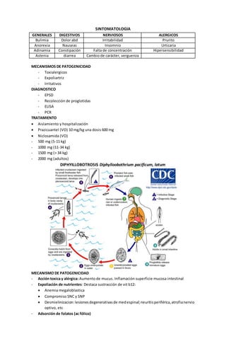 SINTOMATOLOGIA 
GENERALES DIGESTIVOS NERVIOSOS ALERGICOS 
Bulimia Dolor abd Irritabilidad Prurito 
Anorexia Nauseas Insomnio Urticaria 
Adinamia Constipación Falta de concentración Hipersensibilidad 
Astenia diarrea Cambio de carácter, verguenza 
MECANISMOS DE PATOGENICIDAD 
- Toxialergicos 
- Expoliartriz 
- Irritativos 
DIAGNOSTICO 
- EPSD 
- Recolección de proglotidas 
- ELISA 
- PCR 
TRATAMIENTO 
 Aislamiento y hospitalización 
 Prazicuantel (VO) 10 mg/kg una dosis 600 mg 
 Niclosamida (VO) 
- 500 mg (5-11 kg) 
- 1000 mg (11-34 kg) 
- 1500 mg (> 34 kg) 
- 2000 mg (adultos) 
DIPHYILLOBOTROSIS Diphylloobothrium pacificum, latum 
MECANISMO DE PATOGENICIDAD 
- Acción toxica y alérgica: Aumento de mucus. Inflamación superficie mucosa intestinal 
- Expoliación de nutrientes: Destaca sustracción de vit b12: 
 Anemia megaloblastica 
 Compromiso SNC y SNP 
 Desmielinizacion: lesiones degenerativas de med espinal; neuritis periférica, atrofia nervio 
optivo, etc 
- Adsorción de folatos (ac fólico) 
 