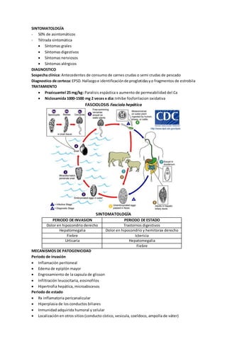 SINTOMATOLOGÍA 
- 50% de asintomáticos 
- Tétrada sintomática 
 Síntomas grales 
 Síntomas digestivos 
 Síntomas nerviosos 
 Síntomas alérgicos 
DIAGNOSTICO 
Sospecha clínica: Antecedentes de consumo de carnes crudas o semi crudas de pescado 
Diagnostico de certeza: EPSD. Hallazgo e identificación de proglotidas y o fragmentos de estrobila 
TRATAMIENTO 
 Prazicuantel 25 mg/kg: Paralisis espástica x aumento de permeabilidad del Ca 
 Niclosamida 1000-1500 mg 2 veces x dia: Inhibe fosforilacion oxidativa 
FASCIOLOSIS Fasciola hepática 
SINTOMATOLOGÍA 
PERIODO DE INVASION PERIODO DE ESTADO 
Dolor en hipocondrio derecho Trastornos digestivos 
Hepatomegalia Dolor en hipocondrio y hemitorax derecho 
Fiebre Ictericia 
Urticaria Hepatomegalia 
Fiebre 
MECANISMOS DE PATOGENICIDAD 
Periodo de invasión 
 Inflamación peritoneal 
 Edema de epiplón mayor 
 Engrosamiento de la capsula de glisson 
 Infiltración leucocitaria, eosinofilos 
 Hipertrofia hepática, microabscesos 
Periodo de estado 
 Rx inflamatoria pericanalicular 
 Hiperplasia de los conductos biliares 
 Inmunidad adquirida humoral y celular 
 Localización en otros sitios (conducto cístico, vesicula, coeldoco, ampolla de váter) 
 