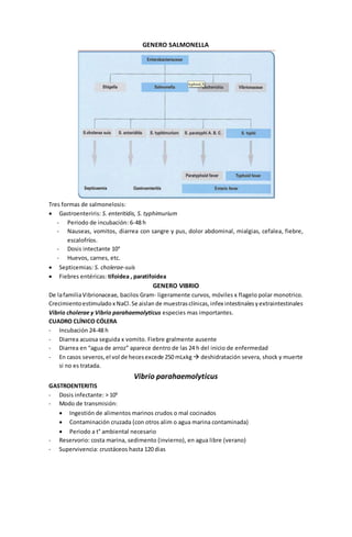 GENERO SALMONELLA 
Tres formas de salmonelosis: 
 Gastroenteriris: S. enteritidis, S. typhimurium 
- Periodo de incubación: 6-48 h 
- Nauseas, vomitos, diarrea con sangre y pus, dolor abdominal, mialgias, cefalea, fiebre, 
escalofríos. 
- Dosis intectante 104 
- Huevos, carnes, etc. 
 Septicemias: S. cholerae-suis 
 Fiebres entéricas: tifoidea , paratifoidea 
GENERO VIBRIO 
De la familia Vibrionaceae, bacilos Gram- ligeramente curvos, móviles x flagelo polar monotrico. 
Crecimiento estimulado x NaCl. Se aislan de muestras clínicas, infex intestinales y extraintestinales 
Vibrio cholerae y Vibrio parahaemolyticus especies mas importantes. 
CUADRO CLÍNICO CÓLERA 
- Incubación 24-48 h 
- Diarrea acuosa seguida x vomito. Fiebre gralmente ausente 
- Diarrea en “agua de arroz” aparece dentro de las 24 h del inicio de enfermedad 
- En casos severos, el vol de heces excede 250 mLxkg  deshidratación severa, shock y muerte 
si no es tratada. 
Vibrio parahaemolyticus 
GASTROENTERITIS 
- Dosis infectante: > 106 
- Modo de transmisión: 
 Ingestión de alimentos marinos crudos o mal cocinados 
 Contaminación cruzada (con otros alim o agua marina contaminada) 
 Periodo a t° ambiental necesario 
- Reservorio: costa marina, sedimento (invierno), en agua libre (verano) 
- Supervivencia: crustáceos hasta 120 dias 
 