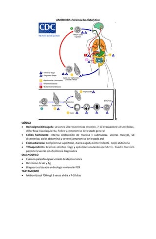AMEBIOSIS Entamoeba histolytica 
e 
CLÍNICA 
 Rectosigmoiditis aguda: Lesiones ulceronecroticas en colon, 7-10 evacuaciones disentéricas, 
dolor fosa iliaca izquierda, fiebre y compromiso del estado general 
 Colitis fulminante: Intensa destrucción de mucosa y submucosa, ulceras masivas, Sd 
disenterico, dolor abdominal y severo compromiso del estado gral 
 Forma diarreica: Compromiso superficial, diarrea aguda o intermitente, dolor abdominal 
 Tifloapendicitis: Lesiones afectan ciego y apéndice simulando apendicitis. Cuadro diarreico 
permite levantar esta hipótesis diagnostica 
DIAGNOSTICO 
 Examen parasitológico seriado de deposiciones 
 Detección de Ac y Ag 
 Diagnostico basado en biología molecular PCR 
TRATAMIENTO 
 Metronidazol 750 mg/ 3 veces al dia x 7-10 dias 
 