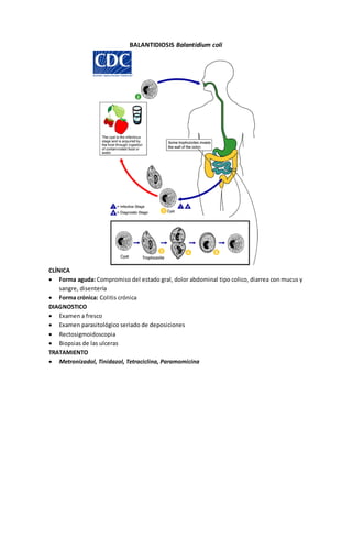 BALANTIDIOSIS Balantidium coli 
CLÍNICA 
 Forma aguda: Compromiso del estado gral, dolor abdominal tipo colico, diarrea con mucus y 
sangre, disentería 
 Forma crónica: Colitis crónica 
DIAGNOSTICO 
 Examen a fresco 
 Examen parasitológico seriado de deposiciones 
 Rectosigmoidoscopia 
 Biopsias de las ulceras 
TRATAMIENTO 
 Metronizadol, Tinidazol, Tetraciclina, Paramomicina 
 