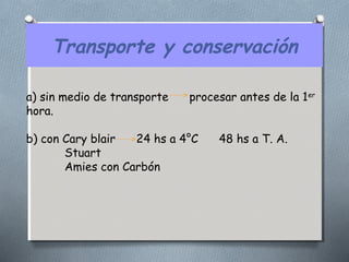 Transporte y conservación 
a) sin medio de transporte procesar antes de la 1er 
hora. 
b) con Cary blair 24 hs a 4°C 48 hs a T. A. 
Stuart 
Amies con Carbón 
 