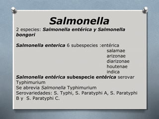 Salmonella 
2 especies: Salmonella entérica y Salmonella 
bongori 
Salmonella enterica 6 subespecies :entérica 
salamae 
arizonae 
diarizonae 
houtenae 
indica 
Salmonella entérica subespecie entérica serovar 
Typhimurium 
Se abrevia Salmonella Typhimurium 
Serovariedades: S. Typhi, S. Paratyphi A, S. Paratyphi 
B y S. Paratyphi C. 
 