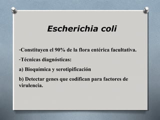 Escherichia coli 
-Constituyen el 90% de la flora entérica facultativa. 
-Técnicas diagnósticas: 
a) Bioquímica y serotipificación 
b) Detectar genes que codifican para factores de 
virulencia. 
 