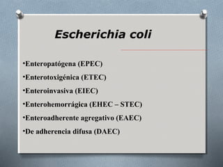 Escherichia coli 
•Enteropatógena (EPEC) 
•Enterotoxigénica (ETEC) 
•Enteroinvasiva (EIEC) 
•Enterohemorrágica (EHEC – STEC) 
•Enteroadherente agregativo (EAEC) 
•De adherencia difusa (DAEC) 
 