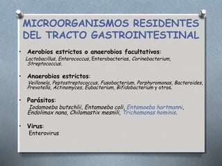 MICROORGANISMOS RESIDENTES 
DEL TRACTO GASTROINTESTINAL 
• Aerobios estrictos o anaerobios facultativos: 
Lactobacillus, Enterococcus, Enterobacterias, Corinebacterium, 
Streptococcus. 
• Anaerobios estrictos: 
Veillonela, Peptostreptococcus, Fusobacterium, Porphyromonas, Bacteroides, 
Prevotella, Actinomyces, Eubacterium, Bifidobacterium y otros. 
• Parásitos: 
Iodamoeba butschlii, Entamoeba coli, Entamoeba hartmanni, 
Endolimax nana, Chilomastix mesnili, Trichomonas hominis. 
• Virus: 
Enterovirus 
 