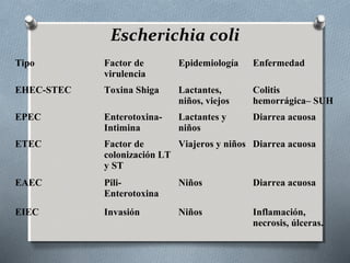 Escherichia coli 
Tipo Factor de 
virulencia 
Epidemiología Enfermedad 
EHEC-STEC Toxina Shiga Lactantes, 
niños, viejos 
Colitis 
hemorrágica– SUH 
EPEC Enterotoxina- 
Intimina 
Lactantes y 
niños 
Diarrea acuosa 
ETEC Factor de 
colonización LT 
y ST 
Viajeros y niños Diarrea acuosa 
EAEC Pili- 
Enterotoxina 
Niños Diarrea acuosa 
EIEC Invasión Niños Inflamación, 
necrosis, úlceras. 
 