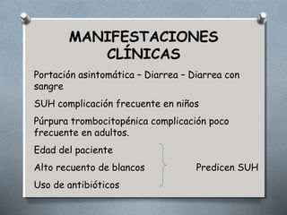 MANIFESTACIONES 
CLÍNICAS 
Portación asintomática – Diarrea – Diarrea con 
sangre 
SUH complicación frecuente en niños 
Púrpura trombocitopénica complicación poco 
frecuente en adultos. 
Edad del paciente 
Alto recuento de blancos Predicen SUH 
Uso de antibióticos 
 