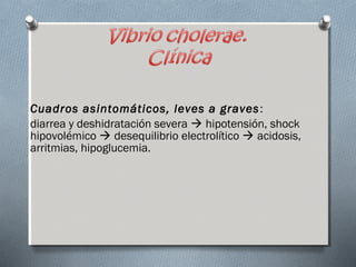 Cuadros asintomáticos, leves a graves : 
diarrea y deshidratación severa  hipotensión, shock 
hipovolémico  desequilibrio electrolítico  acidosis, 
arritmias, hipoglucemia. 
 