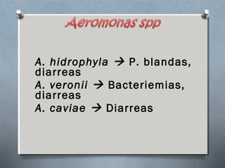 A. hidrophyla  P. blandas, 
diarreas 
A. veronii  Bacteriemias, 
diarreas 
A. caviae  Diarreas 
 